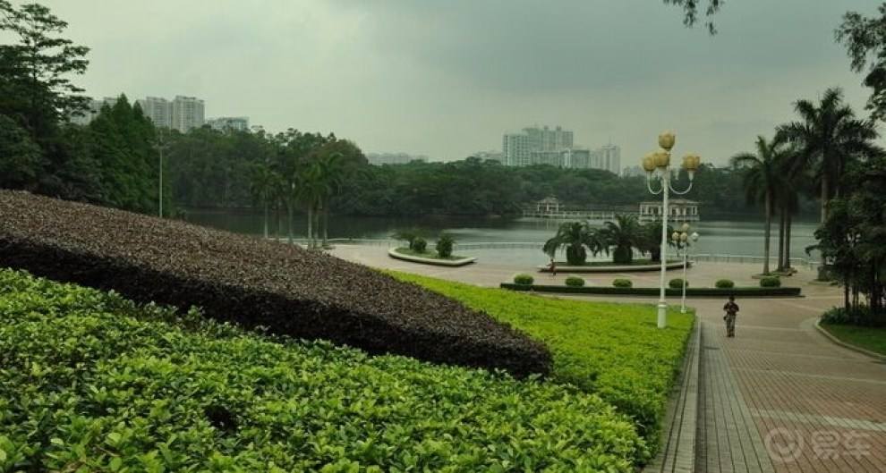 深圳最好玩的公园排名